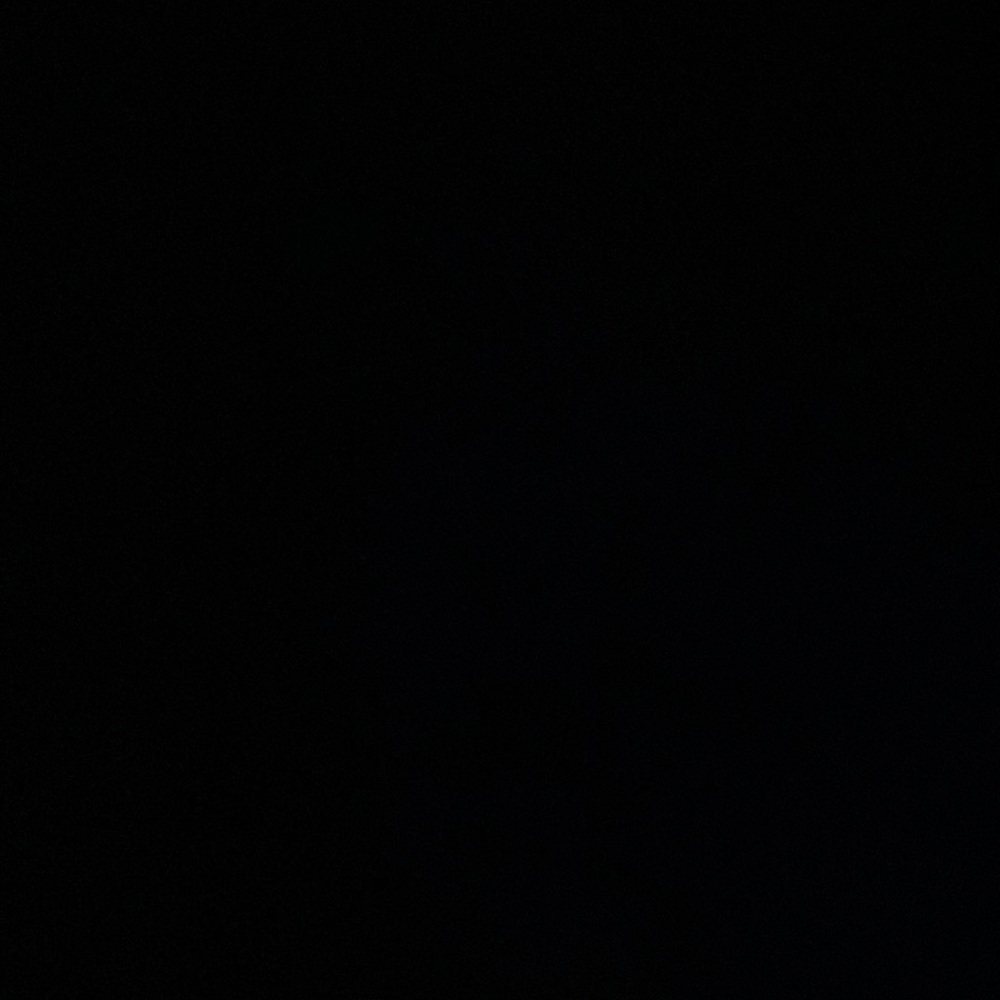IGNORE
